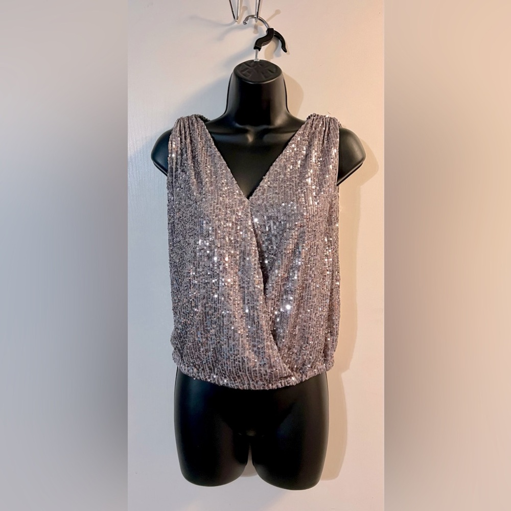 She + Sky silver sequins top